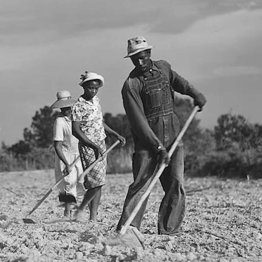 Sharecroppers